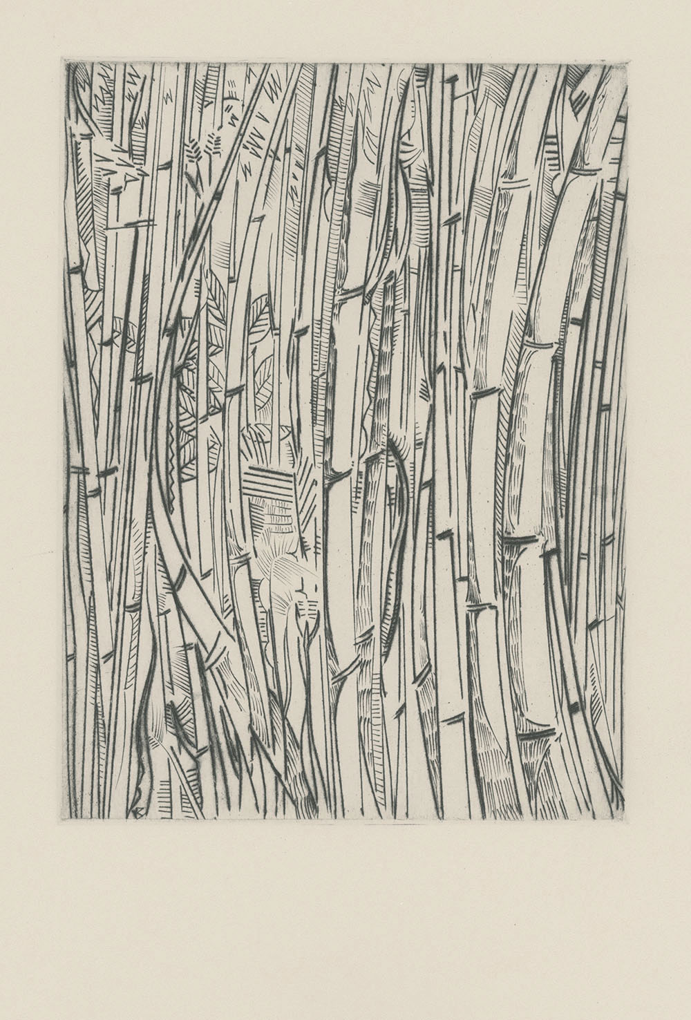 Bosque de Bambúes (original)